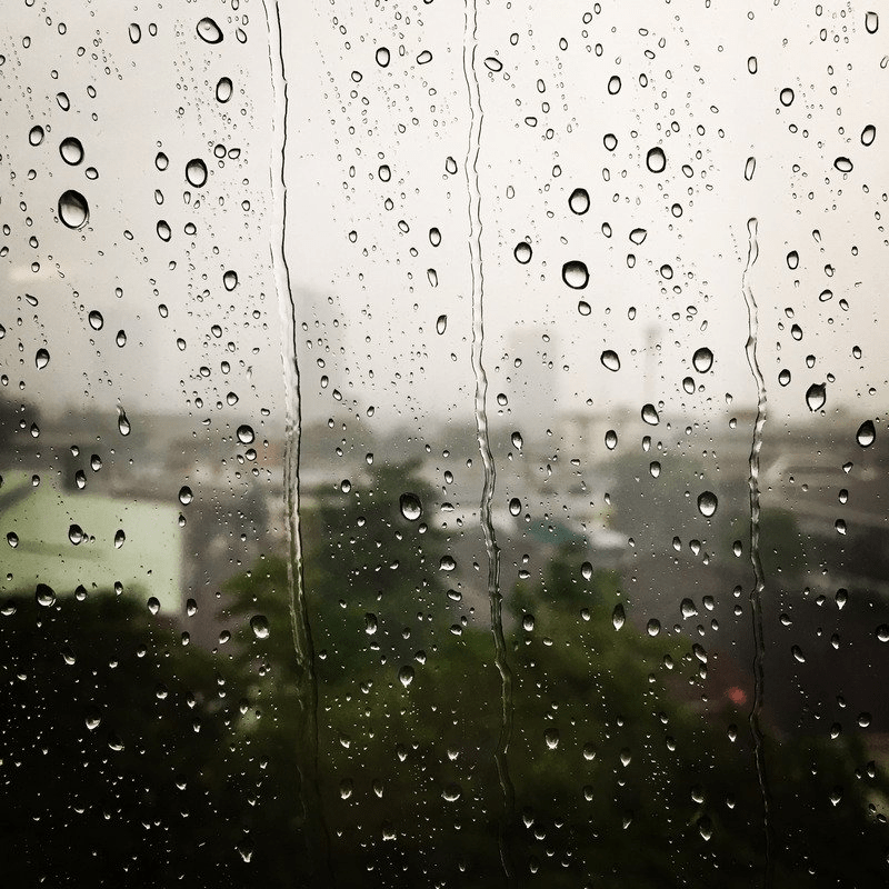 rainy